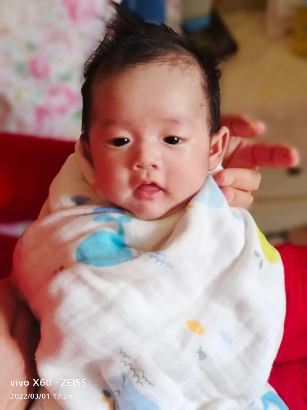 c8c66110ec2f57158791e39a0fd3951.jpg c8c66110ec2f57158791e39a0fd3951.jpg