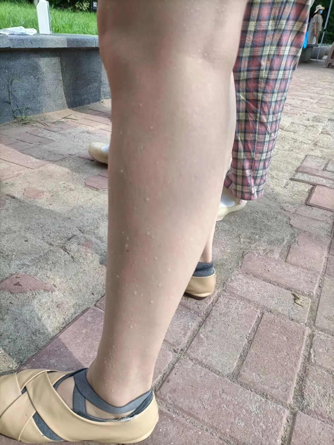 微信图片_20220703162612.jpg 微信图片_20220703162612.jpg